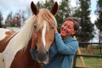 50301911_365146884263590_4432433934831190016_n