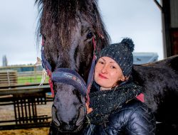 dmc web team-21 dorothée